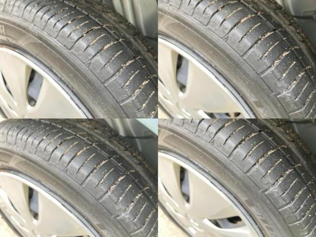 �u���̎Ԃ̎ʐ^�������ƌ������v�u��Ԃ��C�ɂȂ�v�u���̑����͂��Ă���H�v�ǂ�ȏ����ȋ^��ł����C�y�ɂ��₢���킹���������I