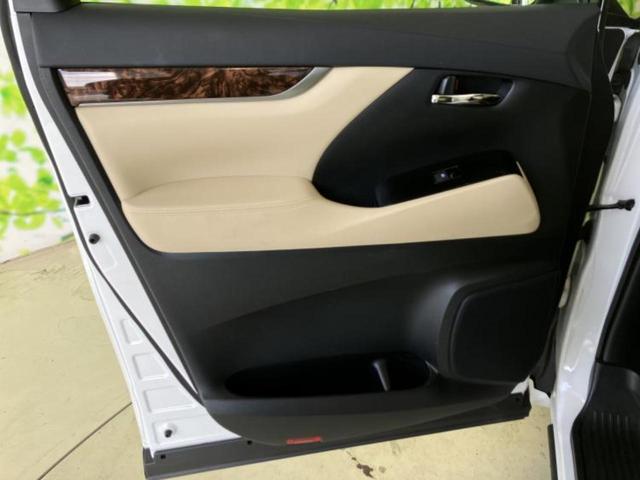 �u���̎Ԃ̎ʐ^�������ƌ������v�u��Ԃ��C�ɂȂ�v�u���̑����͂��Ă���H�v�ǂ�ȏ����ȋ^��ł����C�y�ɂ��₢���킹���������I