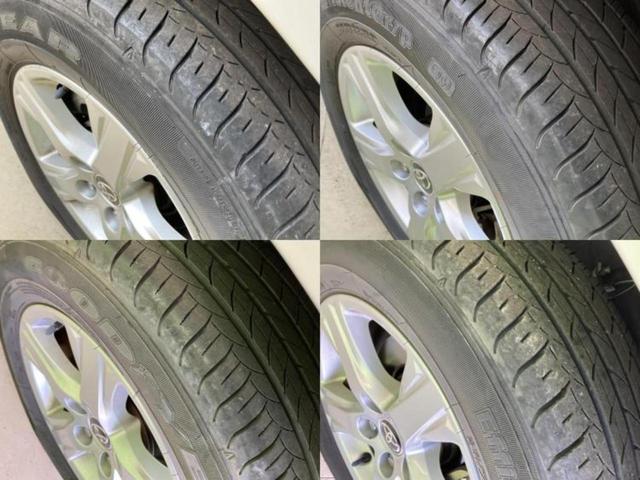 �u���̎Ԃ̎ʐ^�������ƌ������v�u��Ԃ��C�ɂȂ�v�u���̑����͂��Ă���H�v�ǂ�ȏ����ȋ^��ł����C�y�ɂ��₢���킹���������I