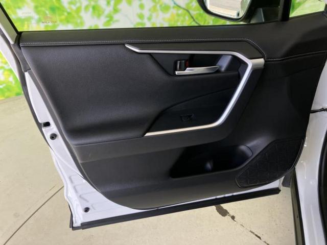 �u���̎Ԃ̎ʐ^�������ƌ������v�u��Ԃ��C�ɂȂ�v�u���̑����͂��Ă���H�v�ǂ�ȏ����ȋ^��ł����C�y�ɂ��₢���킹���������I