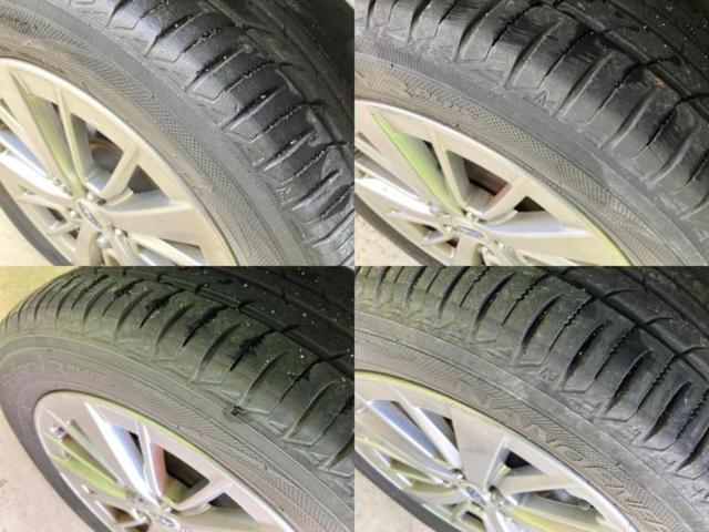 �u���̎Ԃ̎ʐ^�������ƌ������v�u��Ԃ��C�ɂȂ�v�u���̑����͂��Ă���H�v�ǂ�ȏ����ȋ^��ł����C�y�ɂ��₢���킹���������I