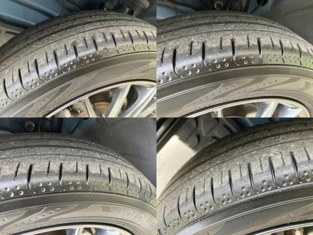 �u���̎Ԃ̎ʐ^�������ƌ������v�u��Ԃ��C�ɂȂ�v�u���̑����͂��Ă���H�v�ǂ�ȏ����ȋ^��ł����C�y�ɂ��₢���킹���������I