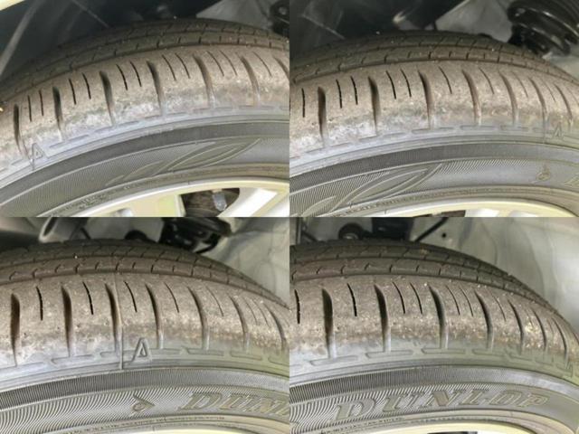 �u���̎Ԃ̎ʐ^�������ƌ������v�u��Ԃ��C�ɂȂ�v�u���̑����͂��Ă���H�v�ǂ�ȏ����ȋ^��ł����C�y�ɂ��₢���킹���������I