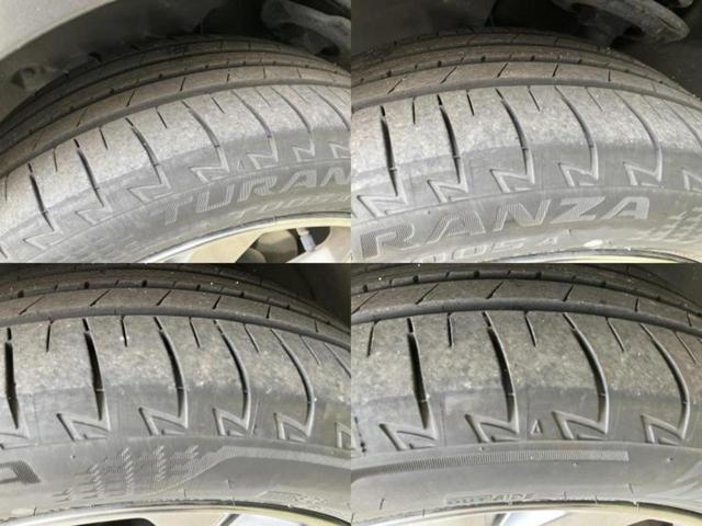 �u���̎Ԃ̎ʐ^�������ƌ������v�u��Ԃ��C�ɂȂ�v�u���̑����͂��Ă���H�v�ǂ�ȏ����ȋ^��ł����C�y�ɂ��₢���킹���������I