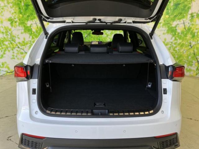 ＮＸ ＮＸ３００ｈ　Ｆスポーツ　新品タイヤ／サンルーフ／保証書／純正　ＳＤナビ／プリクラッシュセーフティ／シートヒーター／車線逸脱防止支援システム／シート　フルレザー／電動バックドア／ヘッドランプ　ＬＥＤ／Ｂｌｕｅｔｏｏｔｈ接続（19枚目）