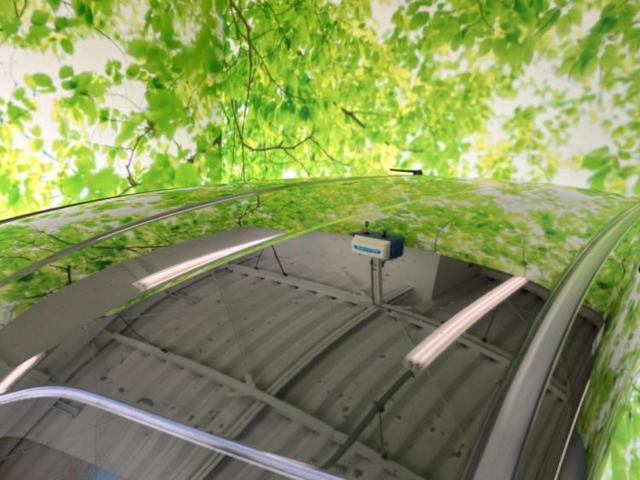 フリード Ｇホンダセンシング　保証書／純正　ＳＤナビ／衝突安全装置／両側電動スライドドア／車線逸脱防止支援システム／シート　ハーフレザー／ヘッドランプ　ＬＥＤ／Ｂｌｕｅｔｏｏｔｈ接続／ＥＴＣ／ＥＢＤ付ＡＢＳ／横滑り防止装置（47枚目）