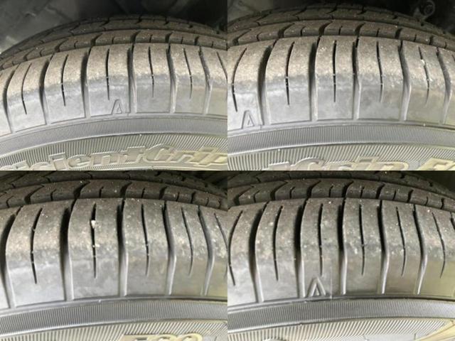 �u���̎Ԃ̎ʐ^�������ƌ������v�u��Ԃ��C�ɂȂ�v�u���̑����͂��Ă���H�v�ǂ�ȏ����ȋ^��ł����C�y�ɂ��₢���킹���������I