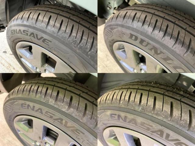 �u���̎Ԃ̎ʐ^�������ƌ������v�u��Ԃ��C�ɂȂ�v�u���̑����͂��Ă���H�v�ǂ�ȏ����ȋ^��ł����C�y�ɂ��₢���킹���������I