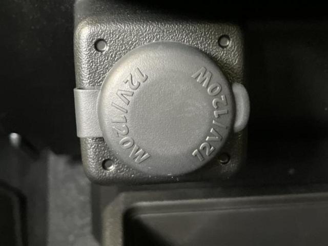 �u���̎Ԃ̎ʐ^�������ƌ������v�u��Ԃ��C�ɂȂ�v�u���̑����͂��Ă���H�v�ǂ�ȏ����ȋ^��ł����C�y�ɂ��₢���킹���������I