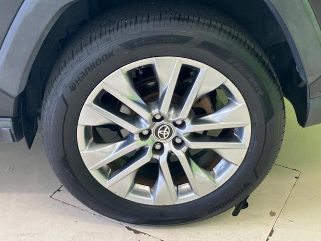 �u���̎Ԃ̎ʐ^�������ƌ������v�u��Ԃ��C�ɂȂ�v�u���̑����͂��Ă���H�v�ǂ�ȏ����ȋ^��ł����C�y�ɂ��₢���킹���������I