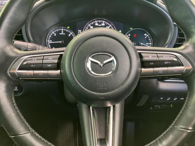 CX-30 XDブラックトーンエディション 新品タイヤ/保証書/純正 SDナビ/衝突安全装置/シートヒーター 前席/360°ビューモニター/車線逸脱防止支援システム/電動バックドア/ドライブレコーダー 純正/ヘッドランプ LED ワンオーナー(14枚目)