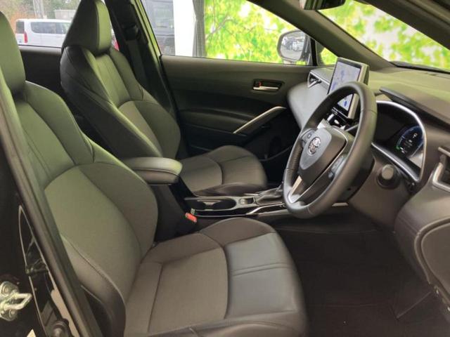 �u���̎Ԃ̎ʐ^�������ƌ������v�u��Ԃ��C�ɂȂ�v�u���̑����͂��Ă���H�v�ǂ�ȏ����ȋ^��ł����C�y�ɂ��₢���킹���������I