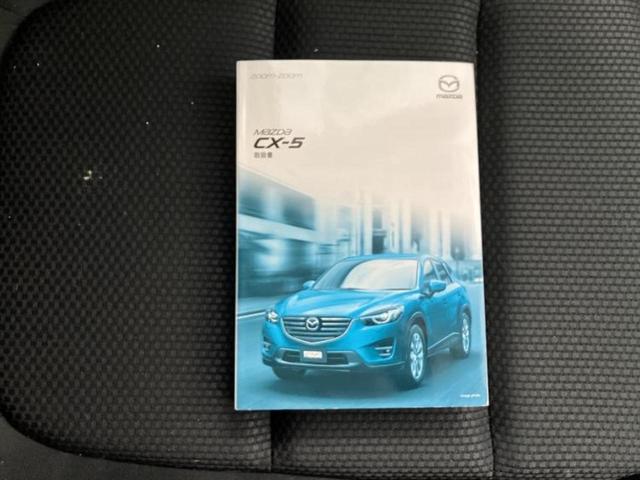 �u���̎Ԃ̎ʐ^�������ƌ������v�u��Ԃ��C�ɂȂ�v�u���̑����͂��Ă���H�v�ǂ�ȏ����ȋ^��ł����C�y�ɂ��₢���킹���������I