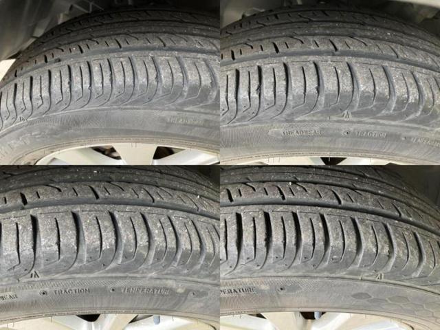 �u���̎Ԃ̎ʐ^�������ƌ������v�u��Ԃ��C�ɂȂ�v�u���̑����͂��Ă���H�v�ǂ�ȏ����ȋ^��ł����C�y�ɂ��₢���킹���������I