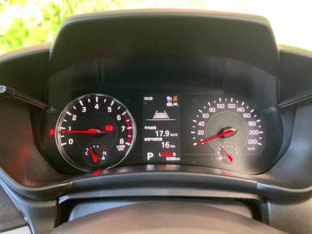 �u���̎Ԃ̎ʐ^�������ƌ������v�u��Ԃ��C�ɂȂ�v�u���̑����͂��Ă���H�v�ǂ�ȏ����ȋ^��ł����C�y�ɂ��₢���킹���������I