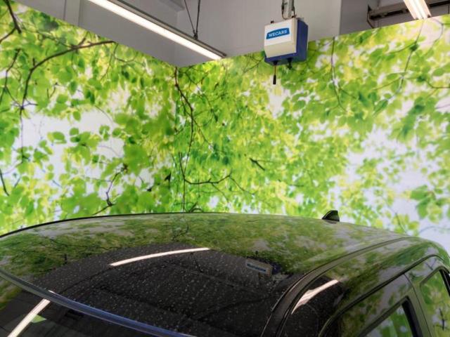 ライズ ハイブリッドZ 保証書/ディスプレイオーディオ9インチ/衝突安全装置/シートヒーター/パノラミックビューモニター/車線逸脱防止支援システム/ヘッドランプ LED/Bluetooth接続/HDMI接続 全周囲カメラ(47枚目)