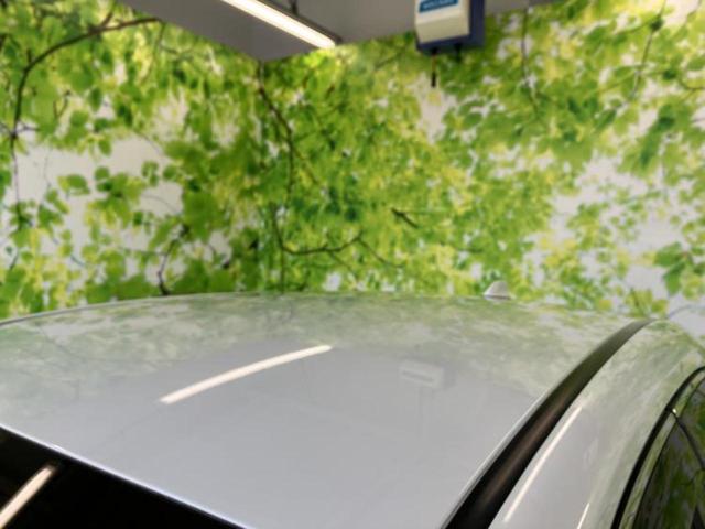 ハリアー Gレザーパッケージ ディスプレイオーディオ8インチ/デジタルインナーミラー/トヨタセーフティセンス/エアーシート 前席/車線逸脱防止支援システム/シート 合皮/電動バックドア/ヘッドランプ LED 衝突被害軽減システム(48枚目)