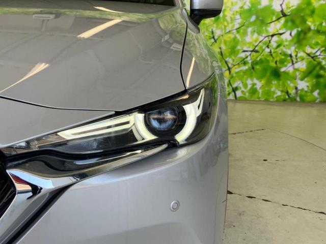 �u���̎Ԃ̎ʐ^�������ƌ������v�u��Ԃ��C�ɂȂ�v�u���̑����͂��Ă���H�v�ǂ�ȏ����ȋ^��ł����C�y�ɂ��₢���킹���������I