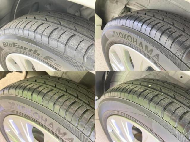 �u���̎Ԃ̎ʐ^�������ƌ������v�u��Ԃ��C�ɂȂ�v�u���̑����͂��Ă���H�v�ǂ�ȏ����ȋ^��ł����C�y�ɂ��₢���킹���������I