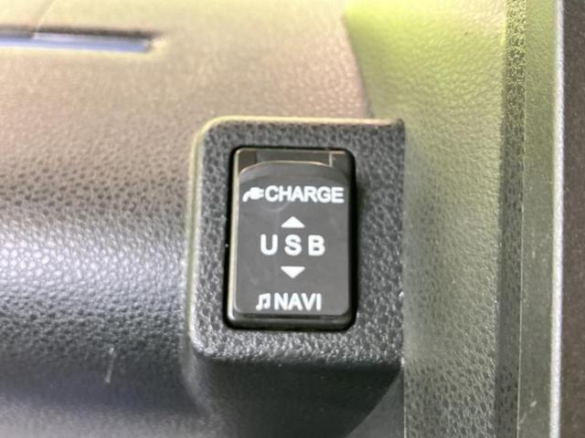 �u���̎Ԃ̎ʐ^�������ƌ������v�u��Ԃ��C�ɂȂ�v�u���̑����͂��Ă���H�v�ǂ�ȏ����ȋ^��ł����C�y�ɂ��₢���킹���������I