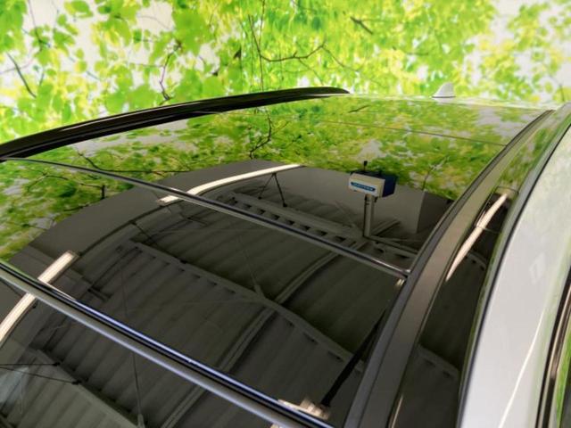 ＲＡＶ４ ４ＷＤハイブリッドＧ　サンルーフ／保証書／ディスプレイオーディオ＋ナビ１１インチ／デジタルインナーミラー／衝突安全装置／シートヒーター／パノラミックビューモニター／車線逸脱防止支援システム／シート　合皮　全周囲カメラ（42枚目）