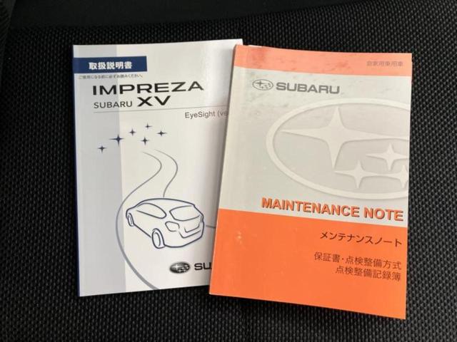 �u���̎Ԃ̎ʐ^�������ƌ������v�u��Ԃ��C�ɂȂ�v�u���̑����͂��Ă���H�v�ǂ�ȏ����ȋ^��ł����C�y�ɂ��₢���킹���������I