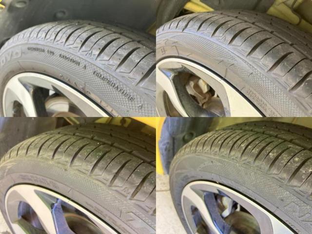 �u���̎Ԃ̎ʐ^�������ƌ������v�u��Ԃ��C�ɂȂ�v�u���̑����͂��Ă���H�v�ǂ�ȏ����ȋ^��ł����C�y�ɂ��₢���킹���������I