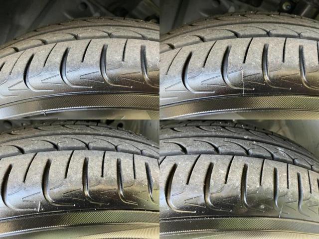 �u���̎Ԃ̎ʐ^�������ƌ������v�u��Ԃ��C�ɂȂ�v�u���̑����͂��Ă���H�v�ǂ�ȏ����ȋ^��ł����C�y�ɂ��₢���킹���������I