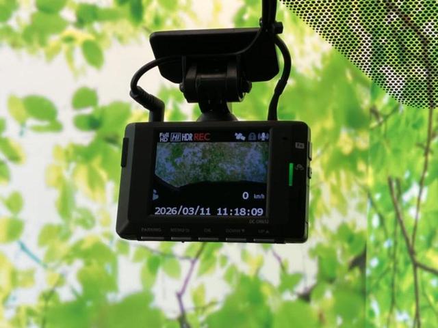 �v�d�b�`�q�r�̓W����ł͎��ۂɌ��āA�G���Ă��Ԃ����I�т��������܂��I�m���̖L�x�ȉc�ƃX�^�b�t���l�X�ȃJ�[���C�t������Ă������܂��I