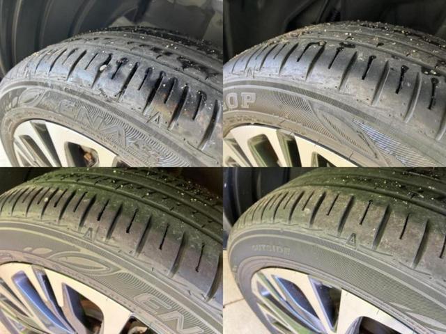 �u���̎Ԃ̎ʐ^�������ƌ������v�u��Ԃ��C�ɂȂ�v�u���̑����͂��Ă���H�v�ǂ�ȏ����ȋ^��ł����C�y�ɂ��₢���킹���������I