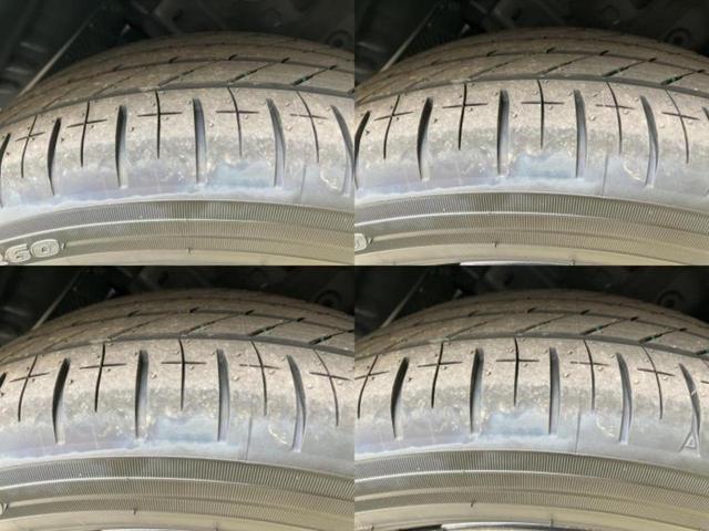 �u���̎Ԃ̎ʐ^�������ƌ������v�u��Ԃ��C�ɂȂ�v�u���̑����͂��Ă���H�v�ǂ�ȏ����ȋ^��ł����C�y�ɂ��₢���킹���������I