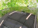 ����ͥ���47