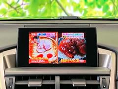 �ףţã��ңӤǤϳƾ����ʤ��緿��˥������Ѱդ��Ƥ���ޤ������䤹������̤Ǥ�ä��������κ߸ˤ������������ޤ���������Ź���Ԥ����Ƥ���ޤ��� 7