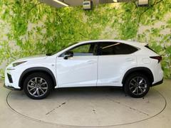 �ףţã��ңӤκ߸˥ڡ������������������ˤ��꤬�Ȥ��������ޤ����ףţã��ңӤϡ֤��������פ��åȡ��ˤ����ͤΥ����饤�դ����Ϥǥ��ݡ��Ȥ������ޤ��� 2