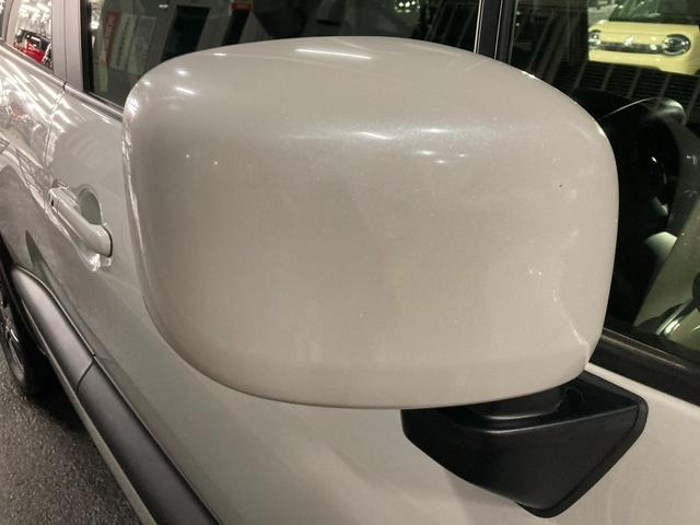 �d���i�[�h�A�~���[��