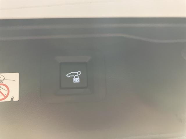 ヴェルファイアハイブリッド Z プレミア ハイブリッド ドライブレコーダー 全周囲カメラ ナビ 両側電動スライドドア クリアランスソナー オートクルーズコントロール レーンアシスト パークアシスト 衝突被害軽減システム LEDヘッドランプ(32枚目)