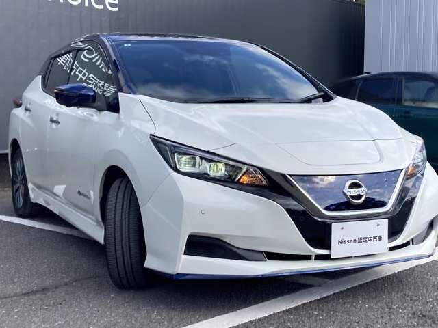 リーフ ｅ＋　Ｘ　メーカーナビ・フルセグＴＶ・ＨＤＭＩ・アラウン　レーンアシスト　オートハイビーム　Ｂカメラ　シートヒーター　クルーズコントロール　ドライブレコーダー　ＬＥＤ　スマートキー　ＥＴＣ　ＡＷ　ＡＢＳ（23枚目）