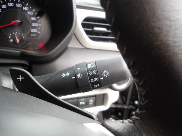 �I�[�g���C�g�@�\����