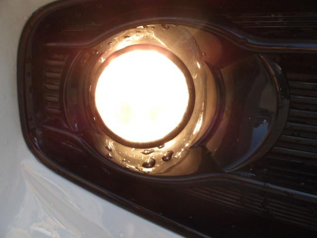 �n���Q���t�H�O�����v