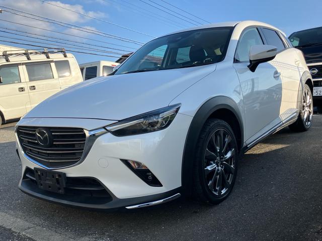 ����P�x���₢���킹�������B