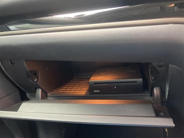 �[�Ԍ���C�����悭����蒸���܂��I�I