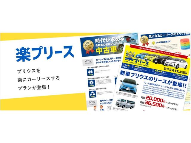 Ｓスタイルブラック　純正ナビ　フルセグ　Ｂｌｕｅｔｏｏｔｈ接続　アイドリングストップ　車検令和６年１０月　ミラーウィンカー　ＥＴＣ(30枚目)