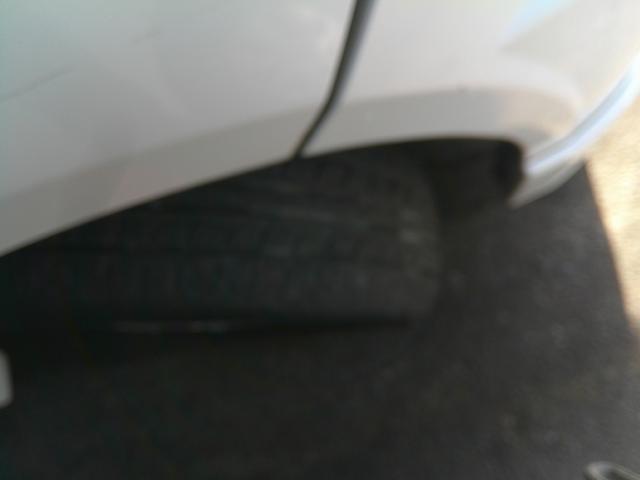 トッポ ローデストT(14枚目)