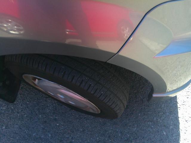 トッポ Ｍ（12枚目）