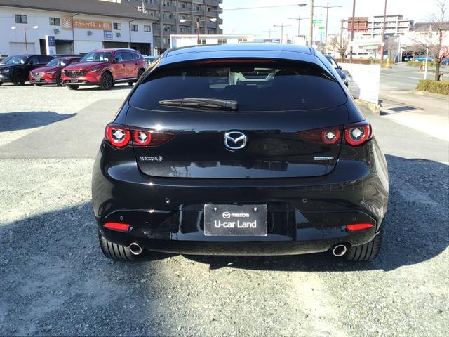 �����V�[�g��|���Ƒ傫�ȉו������ډ\�ł��B