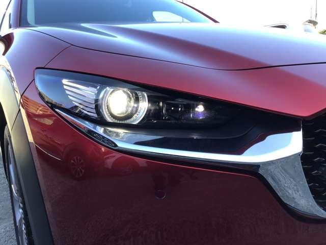 �㕔���Ȃ�|���Ƃ��Ȃ�̍L��������傫�ȉו������N���N�ς߂܂���I