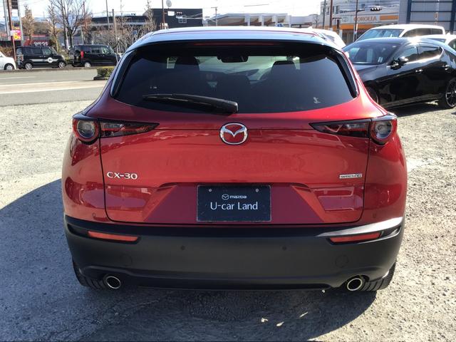 �V����Y��ł������͒��ÎԂ�����Ƃ��ɓV���ǂ�����悤�ɂ��Ă��܂����������Y��ȎԂ͎ԓ����Y��Ȃ��Ƃ������ł���