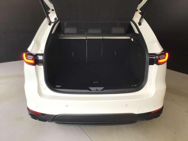 �g�����N�X�y�[�X���ʏ�ŏ\���ȍL�����������܂��B