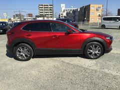 ��ħŪ�ʥ饤�Ȳ��Ǥ��� 4