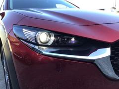 �������ʤ��ݤ��Ȥ��ʤ�ι����������礭�ʲ�ʪ��饯�饯�Ѥ�ޤ��衪 6